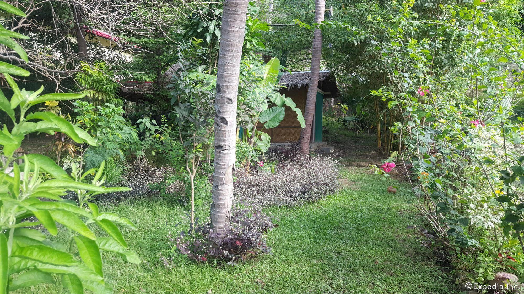 פורטו פרינססה Mangrove Resort מראה חיצוני תמונה